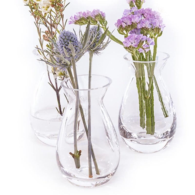 CHIVE â€˜Georgeâ€™ Glass Bottle Flower Vases â€” Set of 6 â€” Small, Elegant Clear Glass Bud Vases â€” Bulk Pack for Home Decor & Table Centerpieces â€” Shape 2 (Oval, 5" Tall, 2.5" Wide) - Image 2